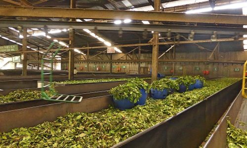 sri lanka ceylan authentique