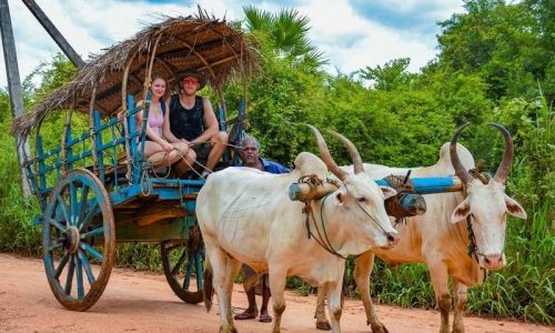 ceylan-authentique - Hiriwadunna village tour