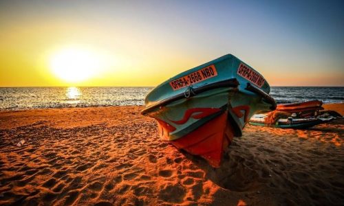 ceylan authentique Negombo