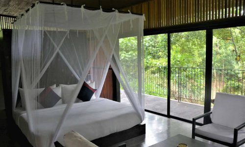 santani wellness garden view