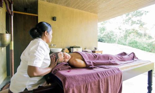 santani wellness garden view