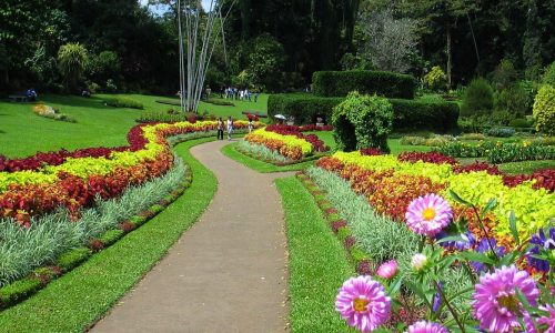 sri lanka ceylan authentique peradeniya royal garden